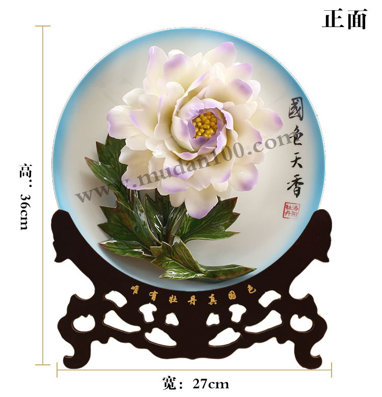 紫蝶白牡丹尺寸